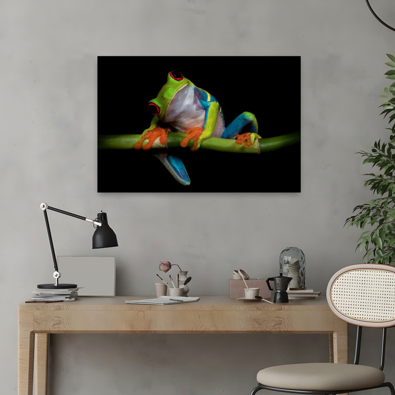 Art contemporain, portrait de grenouille de bambou, H 16 po x l 24 po