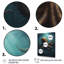 Pieuvre brune et bleue sous la mer sur toile-88534969-88534974