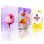 Fleurs de coquelicot, impression sur toile, ensemble de 3 reproductions d'art sur toile-115907799