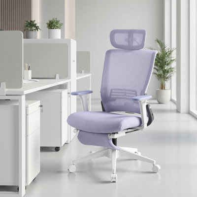 Ergonomic Mesh Office chair with Adjustable Armrest and Foldable Backrest,High Back Executive Office Chair With minimal assembly