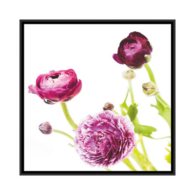 « spring renoncule ii », impression sur toile tendue