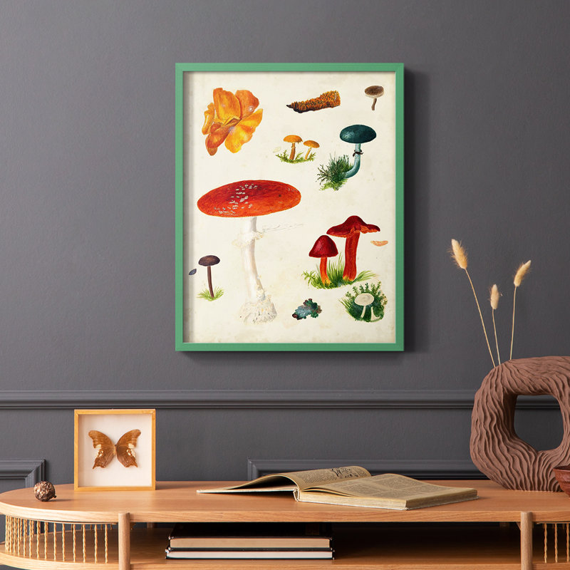 Reproduction encadrée champignon Mushroom Species, Vert, H 10 po x l 8 po