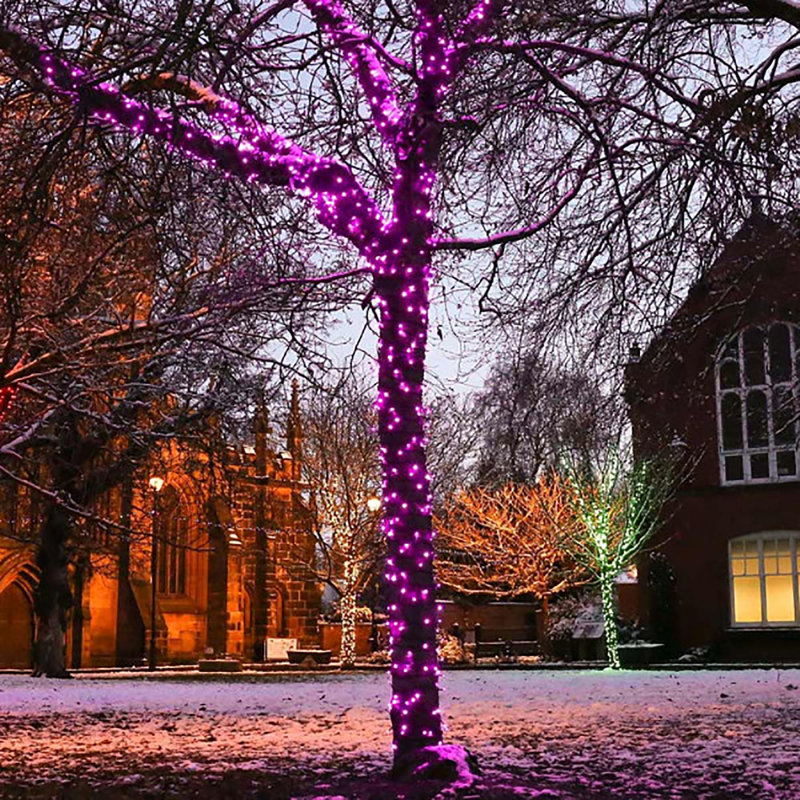 LED Indoor / Outdoor String Lights, Pink