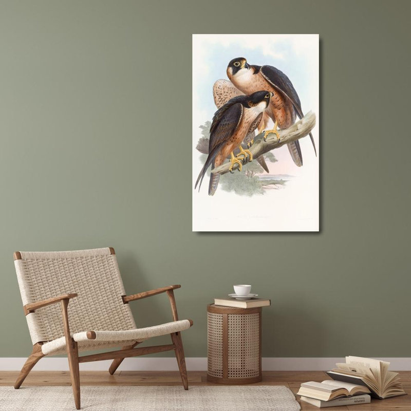 "Shaheen Falcon" par John Gould - Art mural sur toile tendue avec châssis, H 40 po x l 28 po