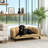 Coffee  Pearl Design Pet Sofa