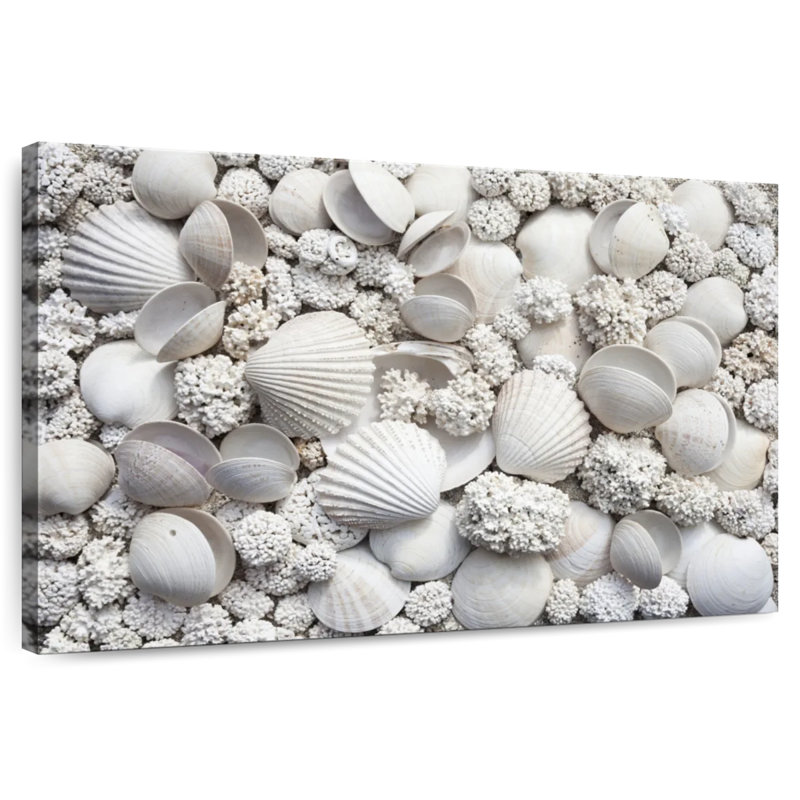 White seashells Aletra, H 8 po x l 12 po
