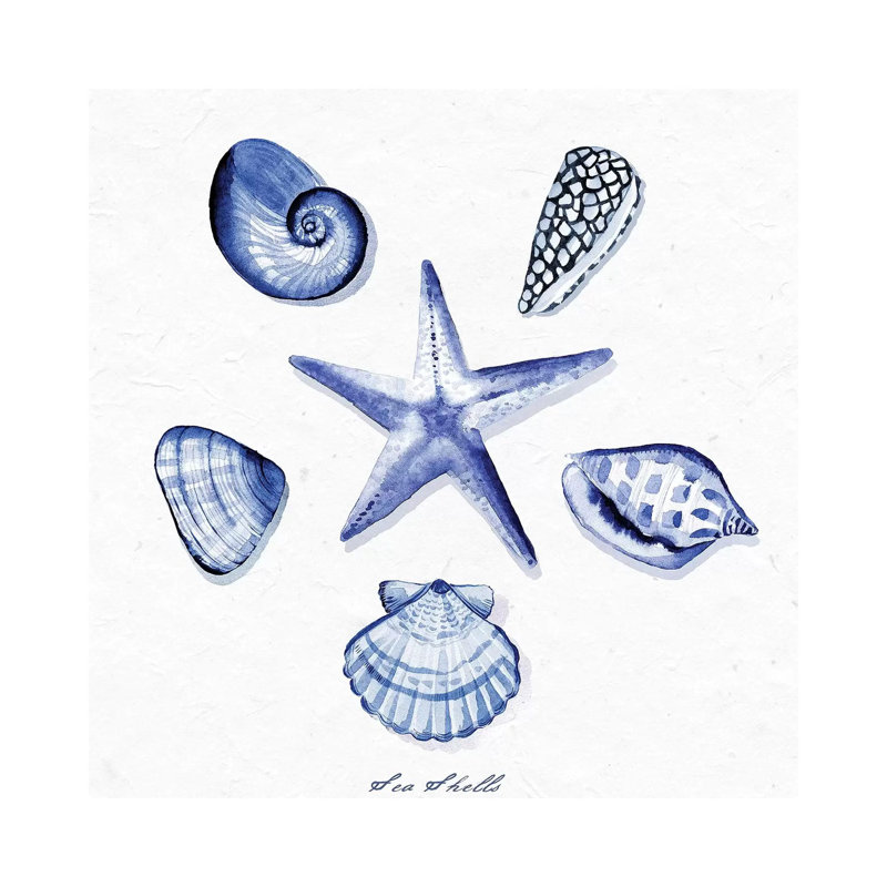 Shell Collection VI by Stephanie Ryan - Painting on Canvas, 45.72cm H x 45.72cm W x 3.81cm D, Wrapped Canvas