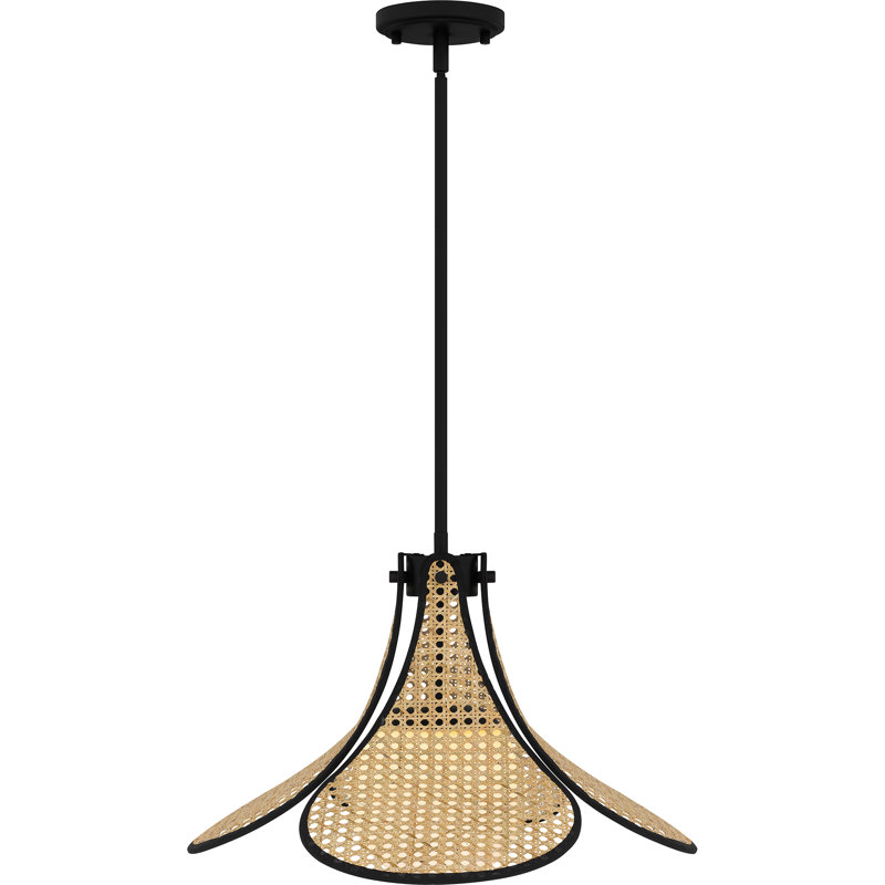 Luminaire suspendu noir mat 1 lumière Addylen
