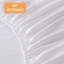 Hestia Mattress Protector Case Pack-2033424157