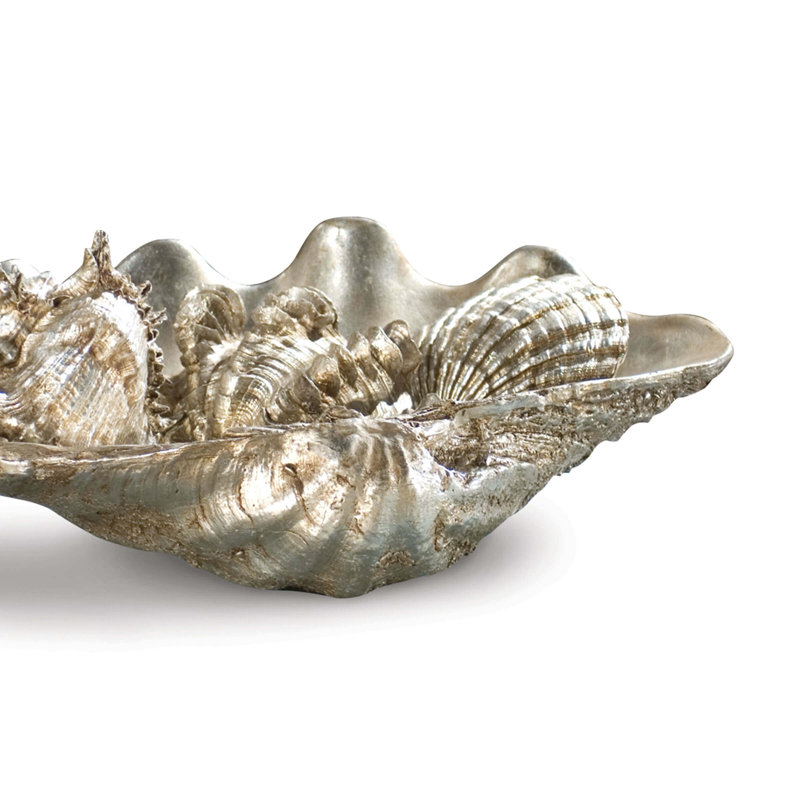 Med Clam Shell w/ Silver Shells