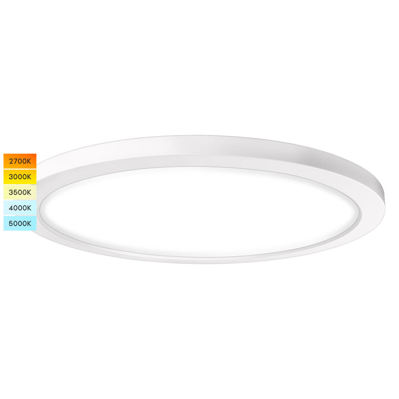 Deruise LED Flush Mount