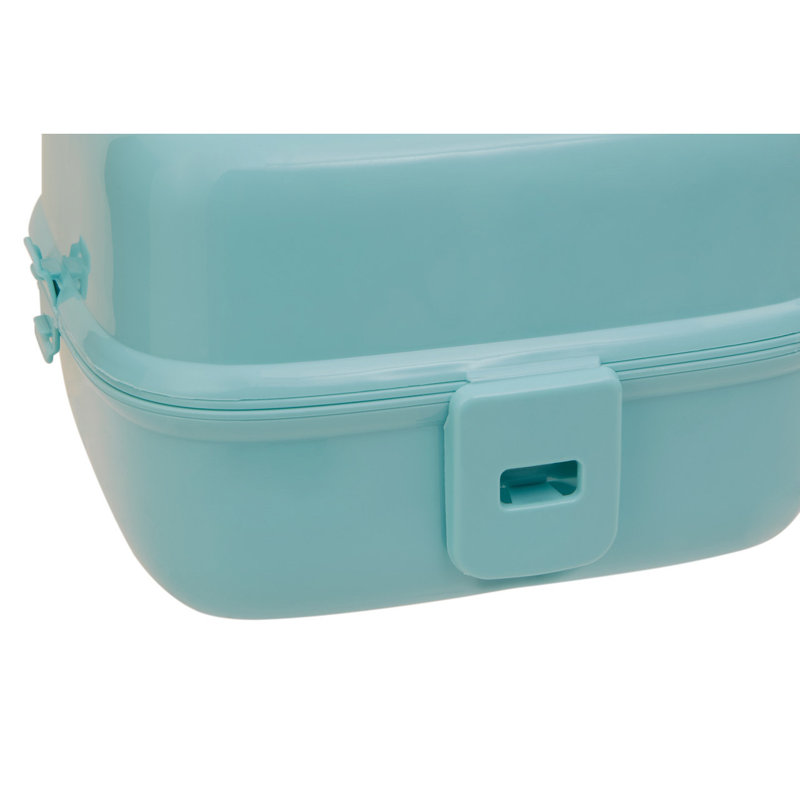 Reich 2.4ml Food Storage Container, Green