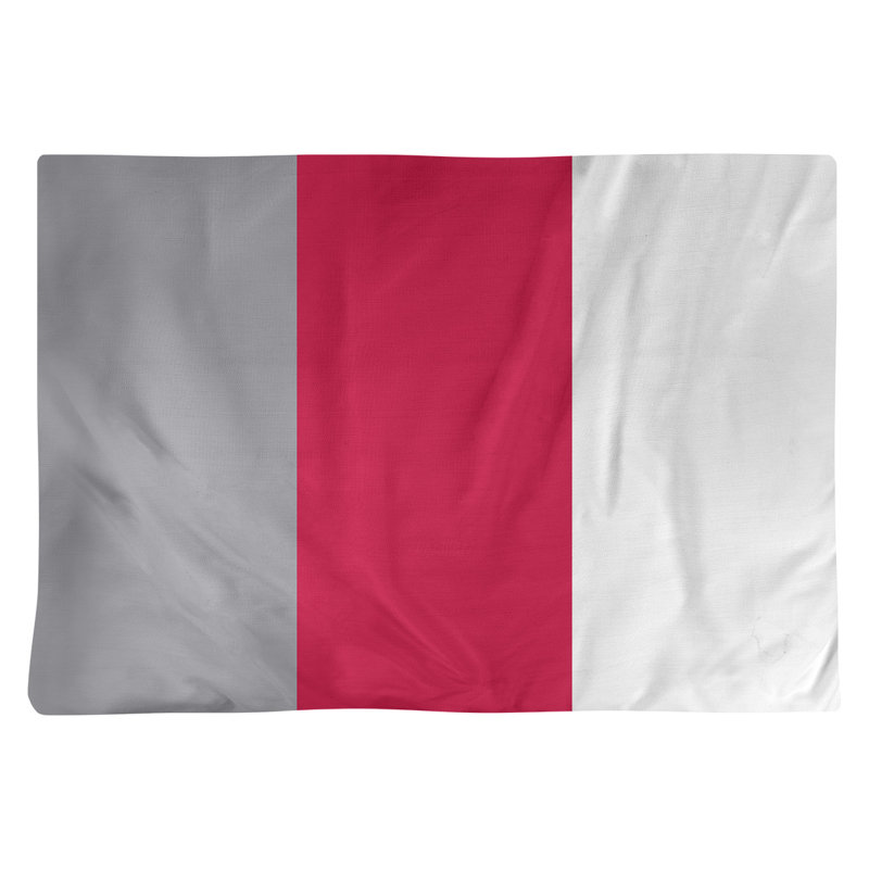 Récapitulatif 18" basket Toronto, Argent / rouge / blanc, Sergé de coton