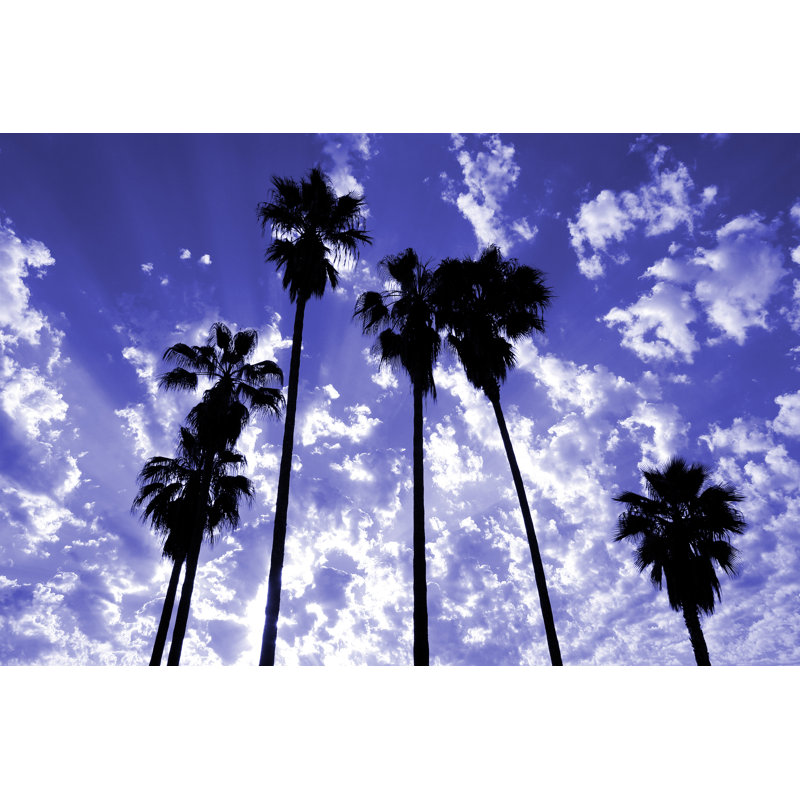 Palm Tree Silhouettes 1 Piece Wrapped Canvas Wall Art, 20cm H x 30cm W