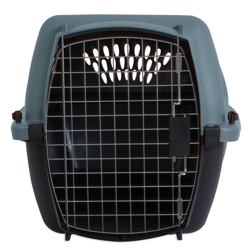 Porte-animal de mode métallique, Moyen (H 14,5 po x l 16,7 po x P 24,1 po), Bleu cendré nacré métallisé / café