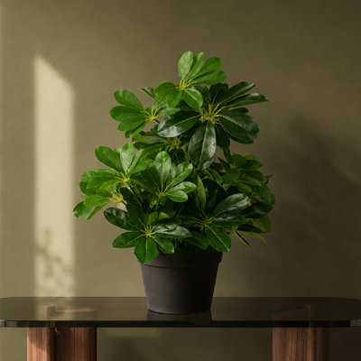 55cm Faux Plant in Pot Liner