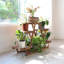 Support pour plante en bois massif Xzavier