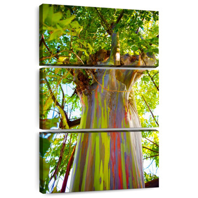 Tronc d'arbre Harnek