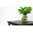 Carrin 19.5'' W Nightstand-121604648