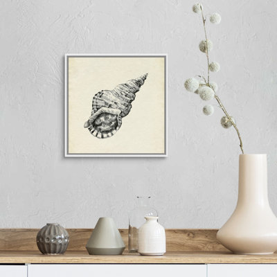 Croquis de coquillage I par Emma Caroline - reproduction d'art