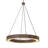 Rustic Lodge 1 Steel Chandelier