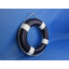 Pashkhi peint avec des bandes blanches-23991186-23991183