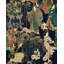The Curators Cabinet Wallpaper Roll