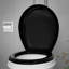Round Toilet Seat and Lid