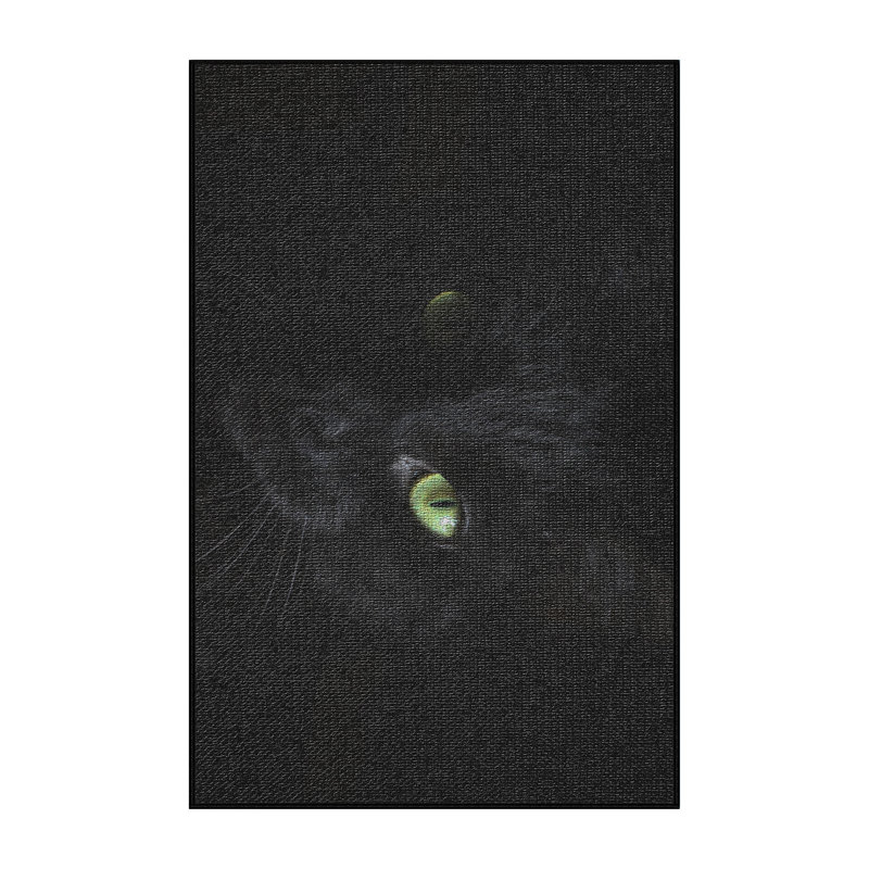 Tapis noir pour animal portrait 48, Rectangle 3 pi x 5 pi