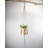 Ambrose Pot Planter