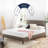 Wayfair Sleep™ 8" Medium Memory Foam Mattress-2075558921