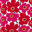 Red/Pink/White