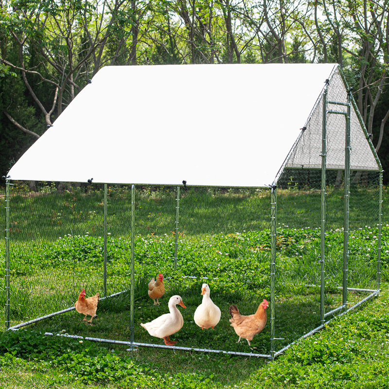 Denne Walk In Chicken Run, 78" H x 78" W x 117" D