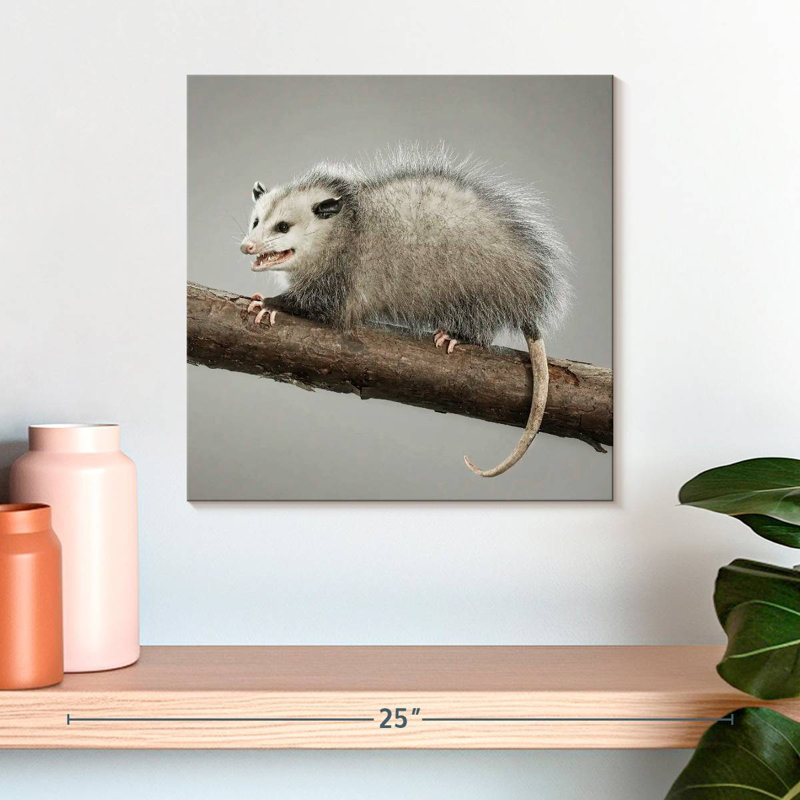 Brampt Snarky Opossum, 16'' H x 16'' W