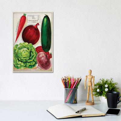 Antique Seed Packets XI - Wrapped Canvas Gallery-Wrapped Canvas Giclée