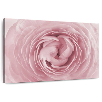 Hardie Blooming Rose