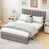 Light Grey