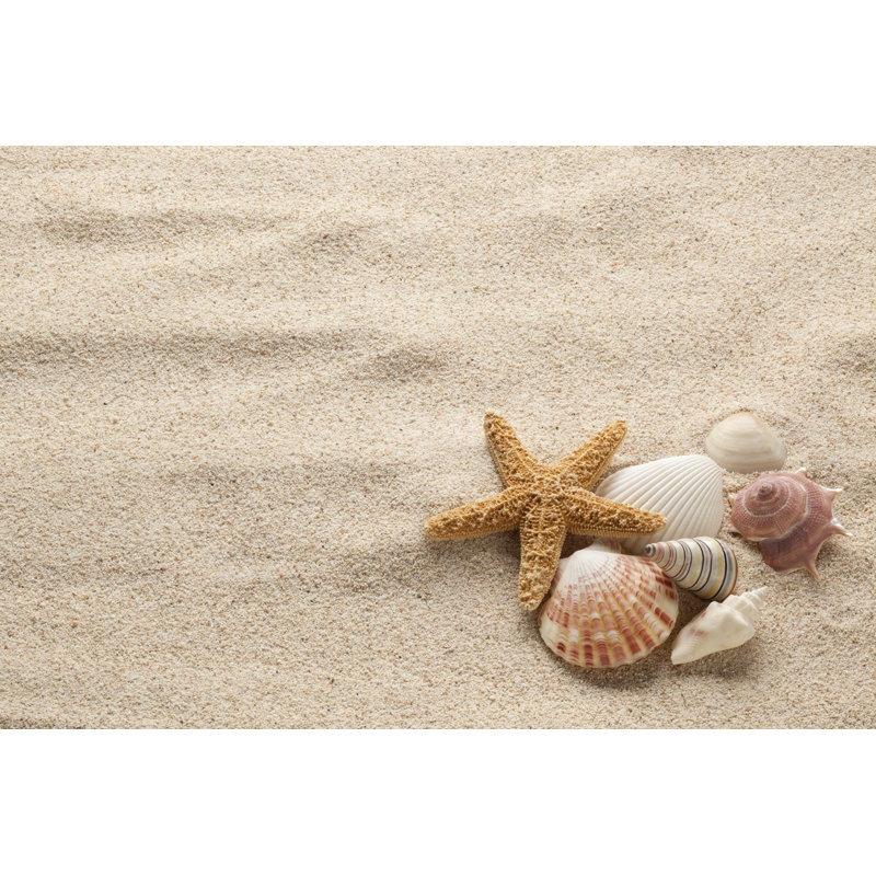 Starfish by Studiocasper - No Frame Art Prints on Canvas, 81cm H x 122cm W