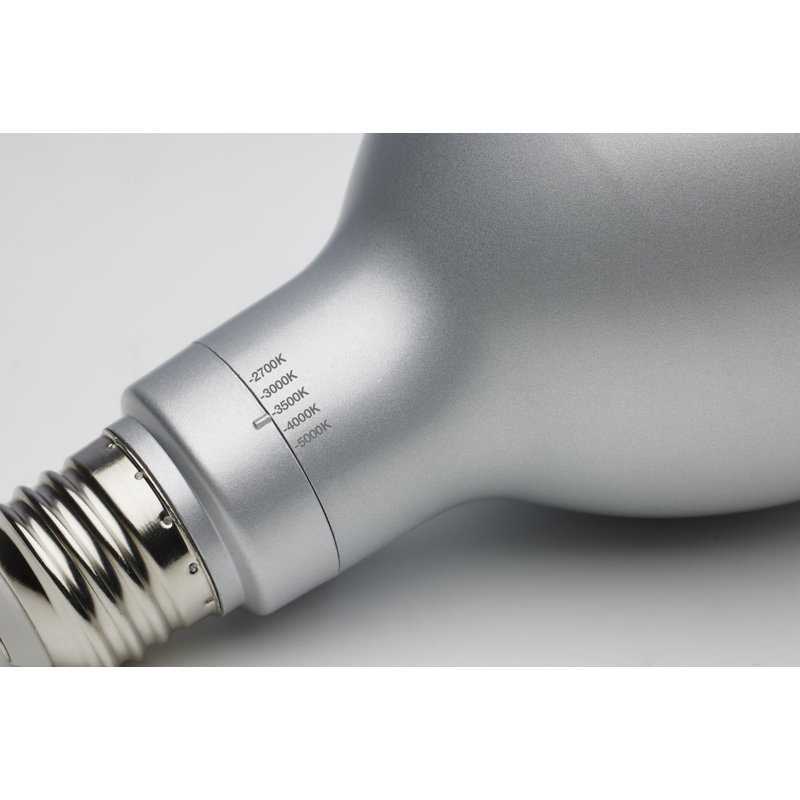 15 Watt Silver Bulb