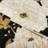 Lush Decor Zinnia Floral Reversible Cotton Quilt Set-784188026-784188029
