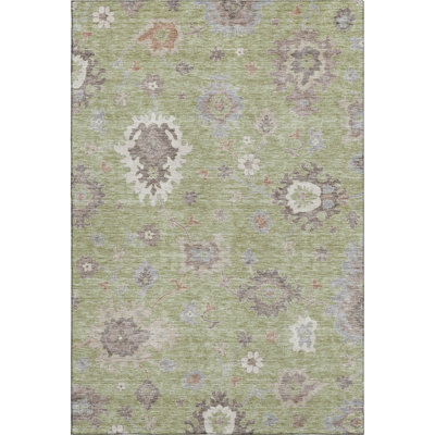 Premium Machine Washable Prisco Aloe Rug