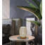 Alayja Metal Desk Lamp