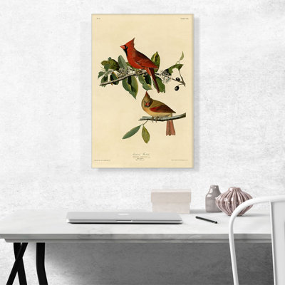 «Cardinal Grosbeak» par James Audubon, impression sur toile tendue