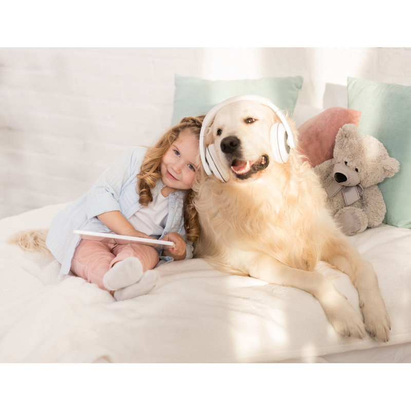 Ensemble de taies d'oreiller ouvertes Grand 100% coton percale, Taies d'oreiller pour grand lit, Rice
