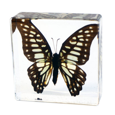 Quint Animals Figurines & Sculptures