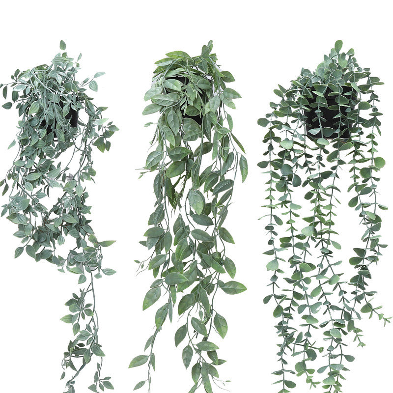 80cm Plant