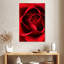 Harnek, gros plan, vue, rose rouge-108389854