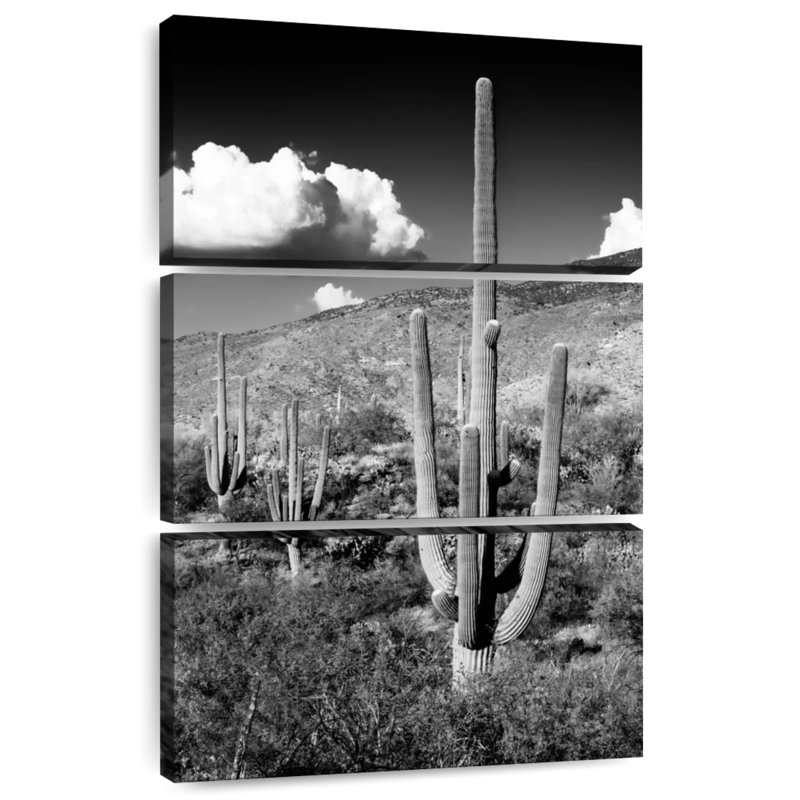 Harnek - Arizona noir - Saguaro Cactus Valley, H 45 po x l 28 po