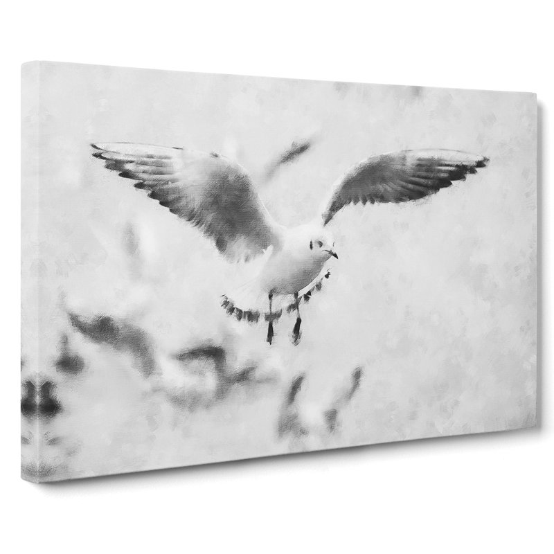 Seagull Birds - Wrapped Canvas, 50cm H x 76cm W x 3cm D