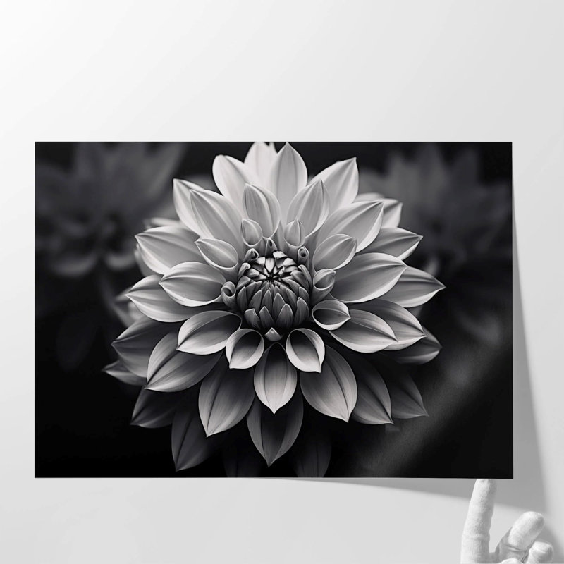 «Calming Petal Essence», art mural, Papier semi-lustré, H 24 po x l 36 po x P 0,02 po